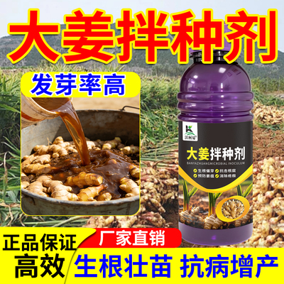 沃柯易大姜拌种剂提高出芽率预防大姜姜瘟病青枯病茎基病抗病增收