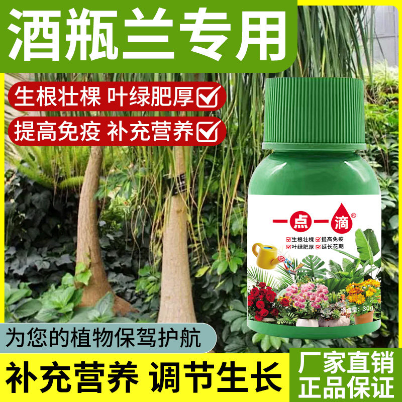 酒瓶兰象腿树盆景氮肥营养液客厅阳台盆栽树苗老桩专用绿叶水溶肥