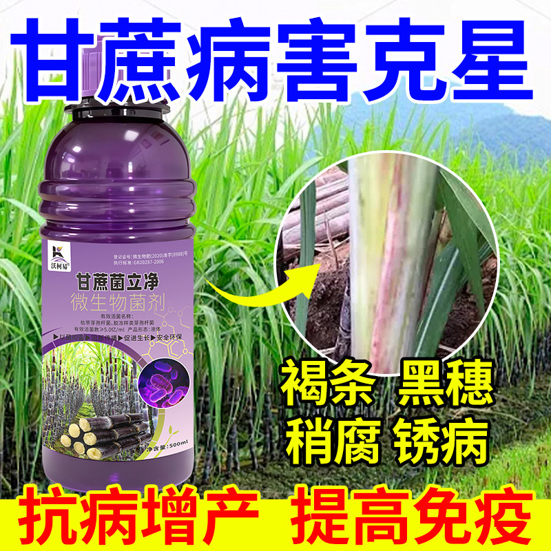 甘蔗专用杀菌剂甘蔗黑穗凤梨黄斑梢腐红壳霜霉锈病黄叶根腐病专用