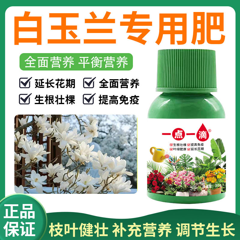 白玉兰花肥料专用肥营养液白玉兰黄角兰树家用盆栽生根催苞开花肥