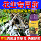 花生专用菌立净白绢褐斑锈病根腐青枯炭疽菌核霜霉白粉微生物菌剂