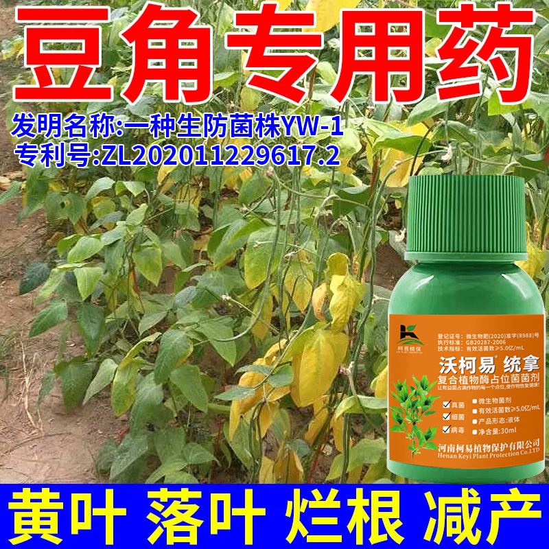 豆角黄叶卷叶专用肥豆角叶面发黄叶片卷曲一喷灵豆角壮苗促长剂
