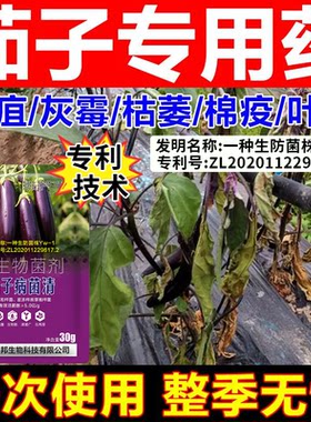 茄子病专用药国家专利技术配方茄子黄萎病炭疽病绵疫灰霉白粉病
