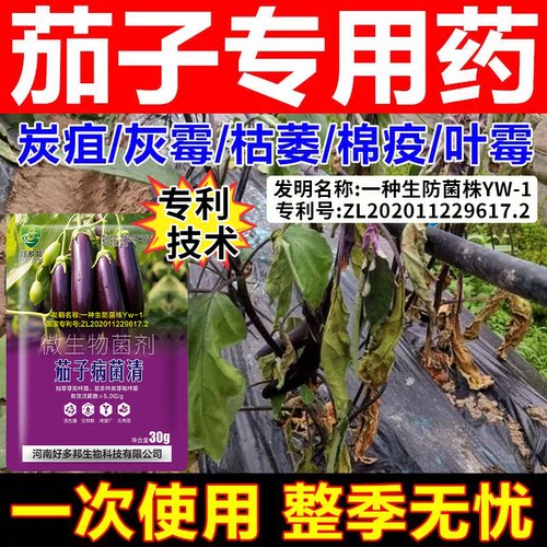 茄子病专用药国家专利技术配方茄子黄萎病炭疽病绵疫灰霉白粉病