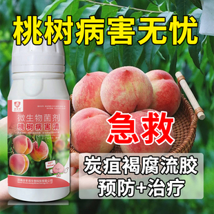 桃树杀菌剂桃树病全治桃树病菌清微生物菌剂肥料穿孔病流胶病炭疽