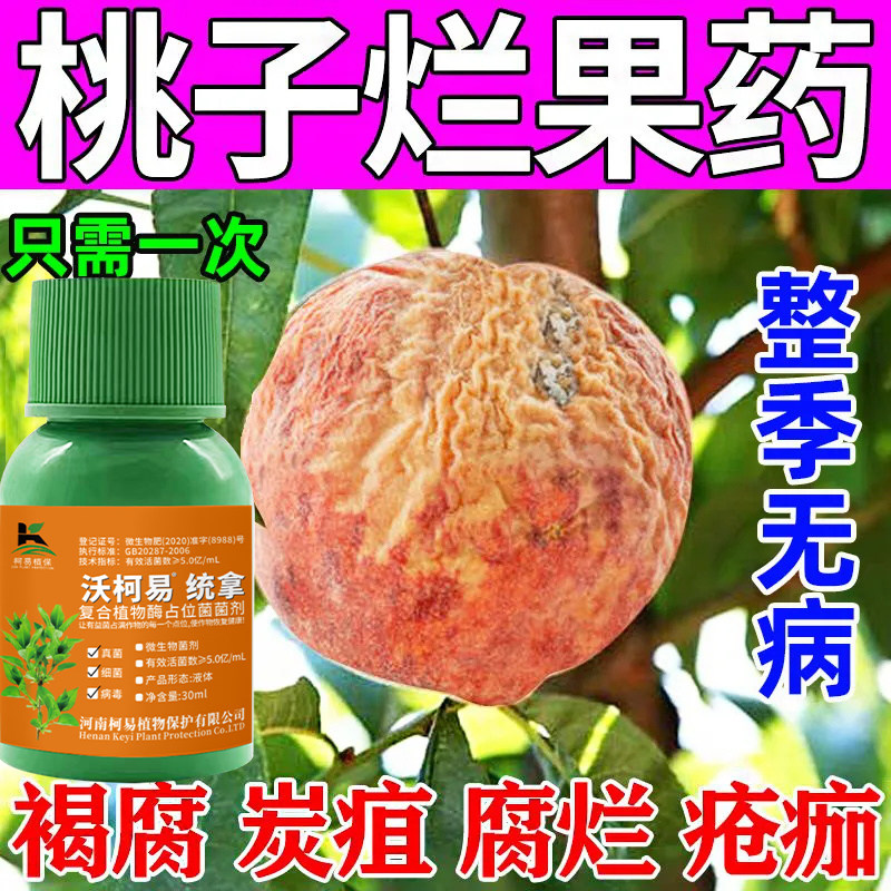 【桃树专用药】桃子褐腐病霜霉灰霉病烂果杀菌剂桃树流胶病专用药