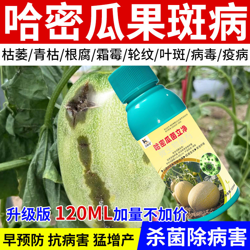 沃柯易哈密瓜菌立净哈密瓜叶枯褐斑白粉枯萎根腐霜霉轮纹炭疽猝倒