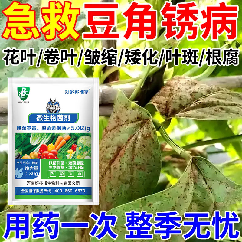 豆角病菌清杀菌剂农药豆角真菌细菌病毒病霜霉病白粉病灰霉病锈病