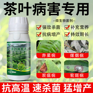 茶叶病专用茶饼病轮斑病炭疽病煤烟病白星病叶枯病赤星病专用菌剂