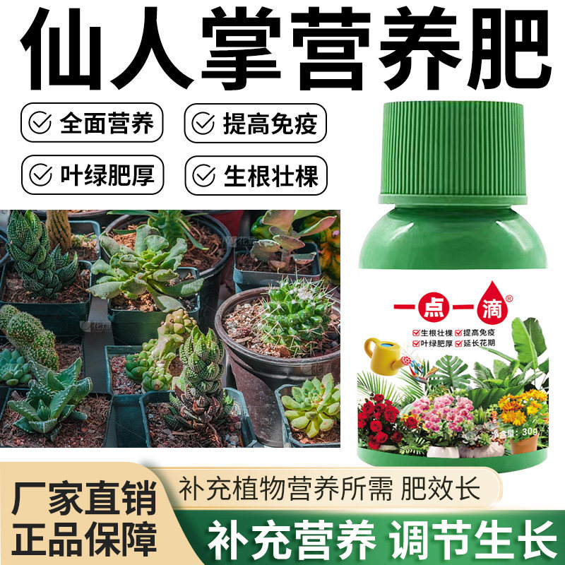 仙人掌营养液通用型仙人掌专用营养液花肥绿植水培植物肥料治黄叶