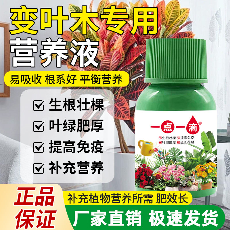 变叶木营养液绿植花卉专用肥料水培花肥土培植物阳台盆栽家用种花