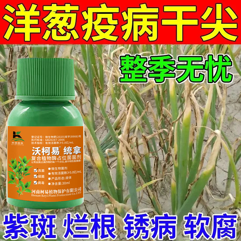 洋葱病专用药洋葱病全治黄叶死苗猝倒紫斑病软腐病洋葱专用杀菌剂