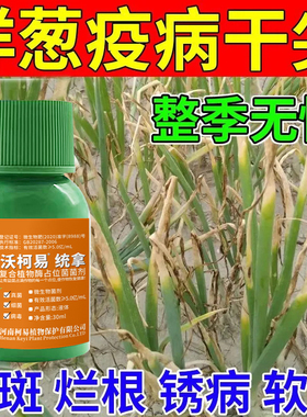 洋葱病专用药洋葱病全治黄叶死苗猝倒紫斑病软腐病洋葱专用杀菌剂