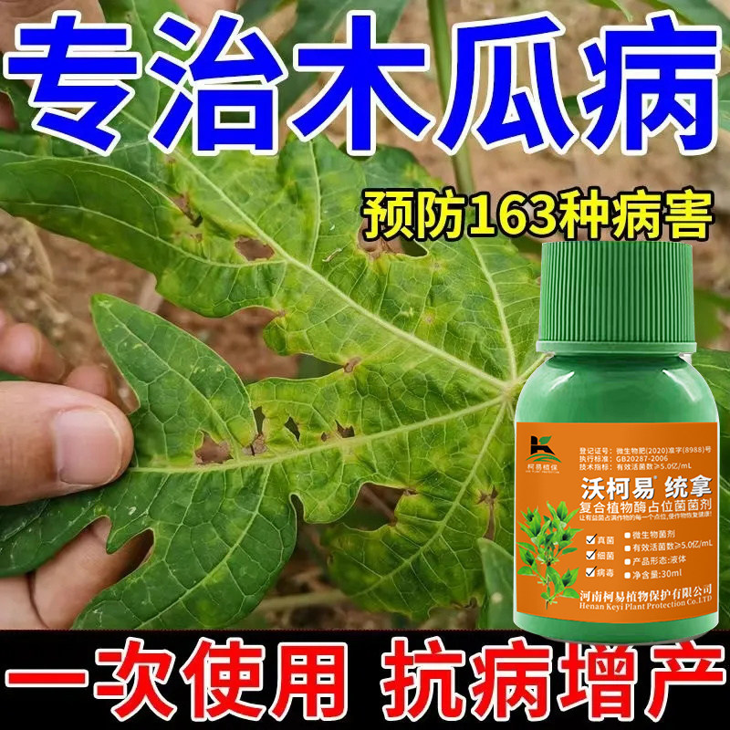 木瓜病毒病专用药木瓜病毒病杀菌剂花叶病毒卷叶黄叶病害全杀正品