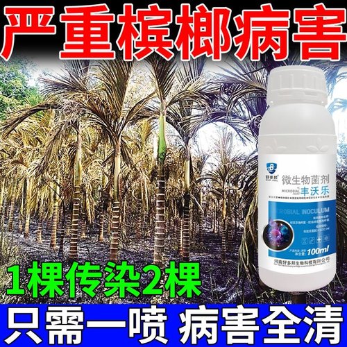 槟榔树烂心病专用滁菌剂防槟榔黄化病根腐病芽腐病条斑病脱落下垂