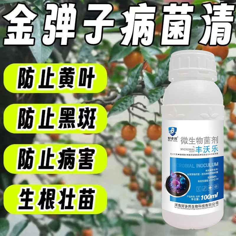 金弹子病专用金弹子灰霉病炭疽病白粉病除菌剂促花挂果防黄叶黑斑