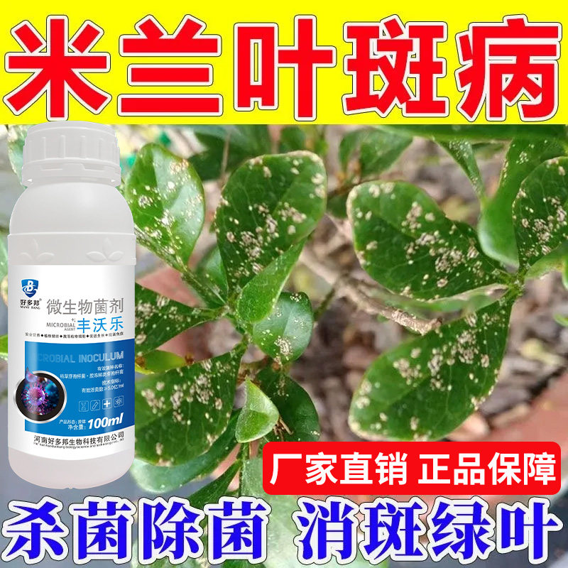 米兰营养液米兰花专用肥防黄叶干枯蕉叶促生根发芽延长花期通用