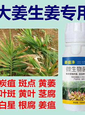 姜瘟病专用药生姜杀菌剂根腐灵枯萎烂脖子病姜瘟净黄叶青枯病防治