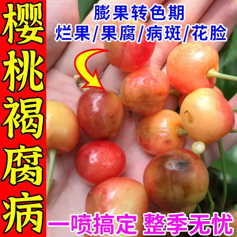 樱桃病全治樱桃专用杀菌剂樱桃菌害全杀农用黑星穿孔流胶农药正品