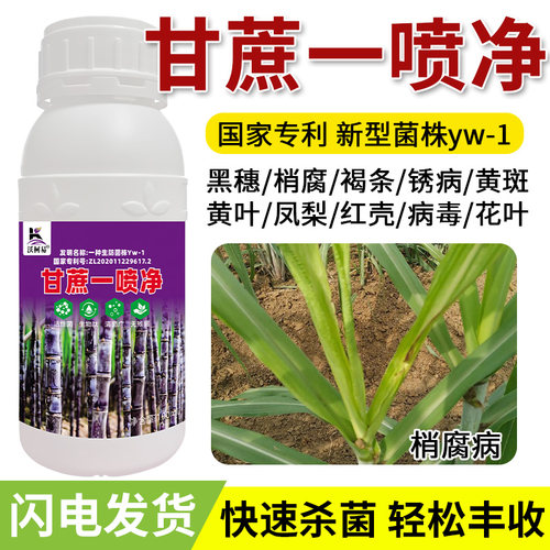 急救甘蔗病全管国家专利技术蔗病梢腐病锈病褐斑病黑穗赤腐病黄叶