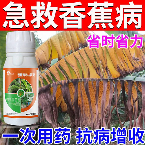 香蕉病专用香蕉黄叶病香蕉黑星病香蕉叶枯萎病腐烂病专用杀菌剂
