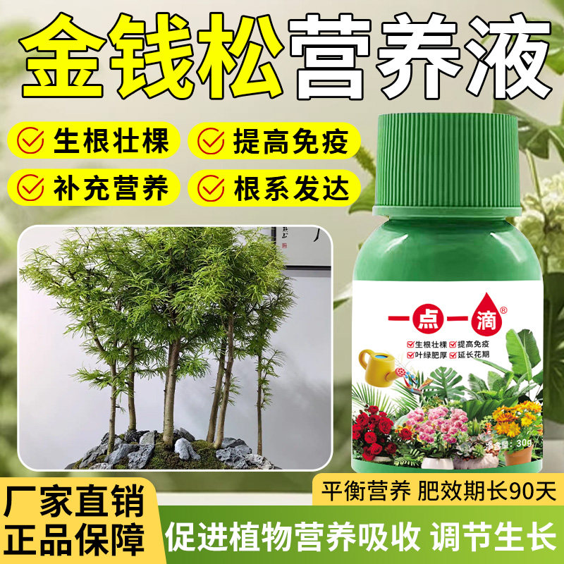 金钱松营养肥养根壮苗促花花肥园艺花卉盆栽绿植植物室内外通用