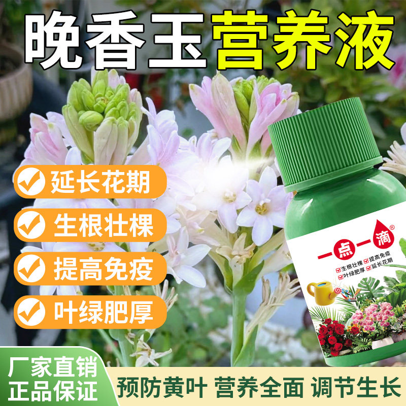 晚香玉营养液花卉绿植专用液体肥料家庭室内园林农业园艺植物盆栽