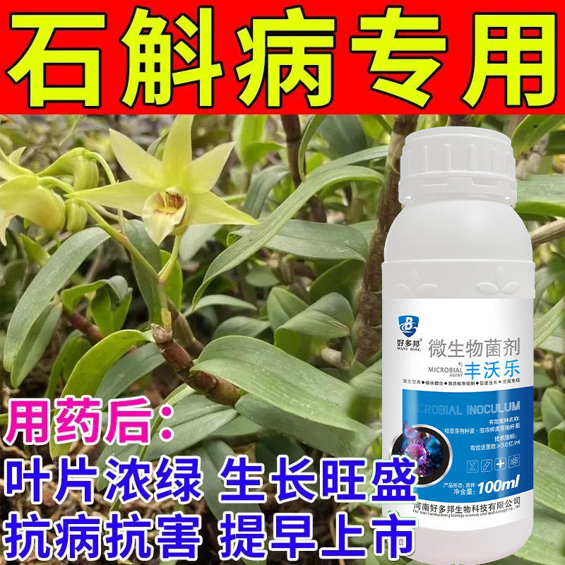 石斛兰黄叶专用营养液催花保花促绿叶生根壮苗防烂根枯萎通用肥料