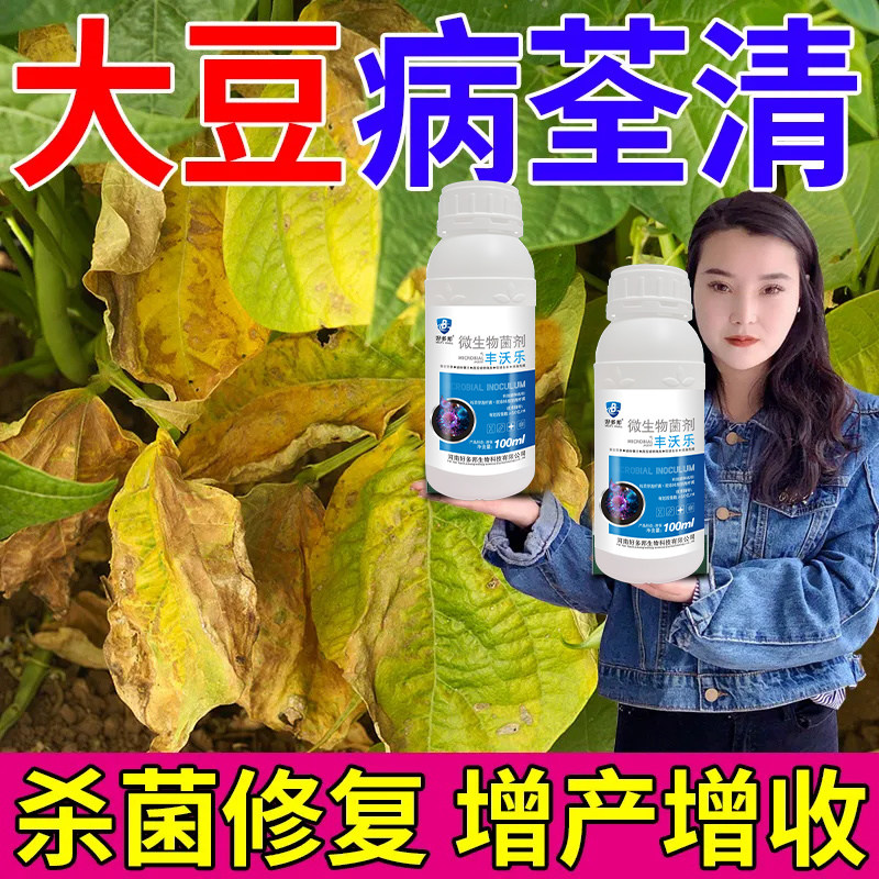 大豆病害专用杀菌剂黄叶病花叶病斑点病缩矮病蔓枯病炭疽病病全管