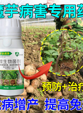 魔芋专用药魔芋灵汰腐净魔芋专用杀菌剂软腐病白娟病根腐病叶面
