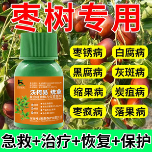 枣树病全治小叶黄叶炭疽缩果卷叶病褐腐病农用叶面肥枣疯病专用药