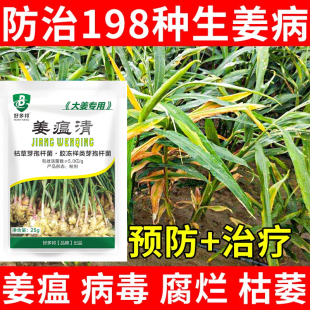 生姜大姜瘟病正品防治姜瘟病专用药根腐灵枯萎烂脖子病黄叶青枯病