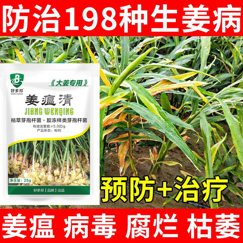生姜大姜瘟病正品防治姜瘟病专用药根腐灵枯萎烂脖子病黄叶青枯病