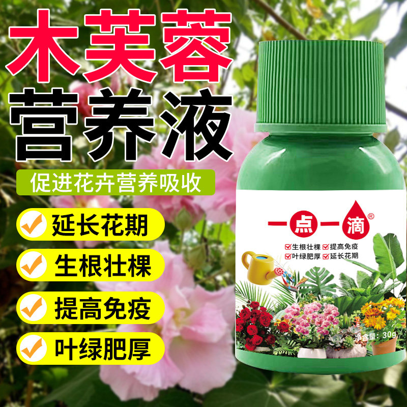 木芙蓉专用家庭园艺喷雾叶子发黄枯叶卷叶病防控绿植盆栽营养液肥