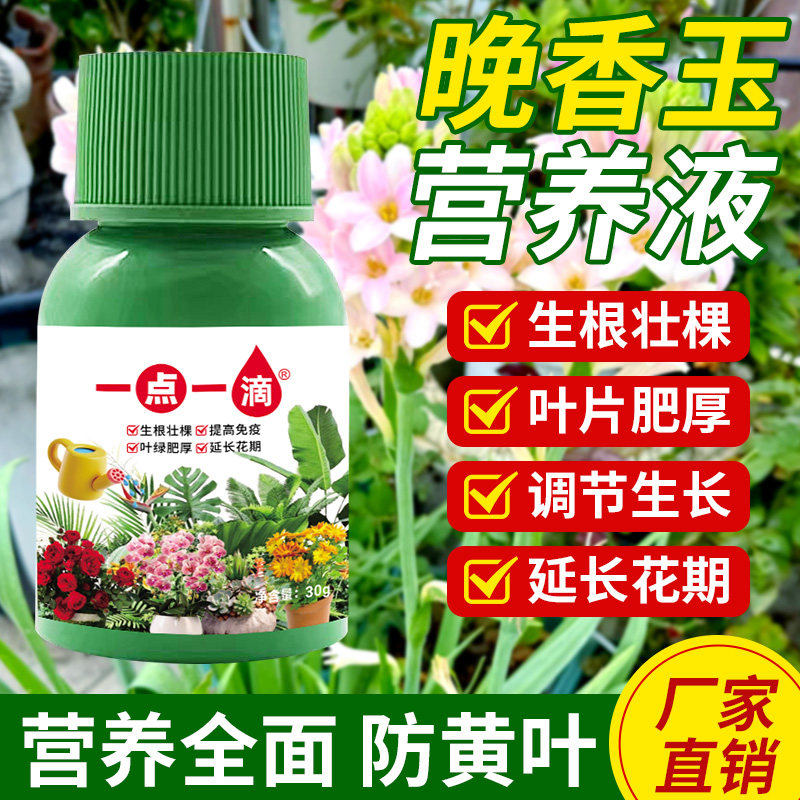 晚香玉肥料专用肥花卉绿植控释肥通用颗粒缓释肥绿萝蔬菜植物肥料