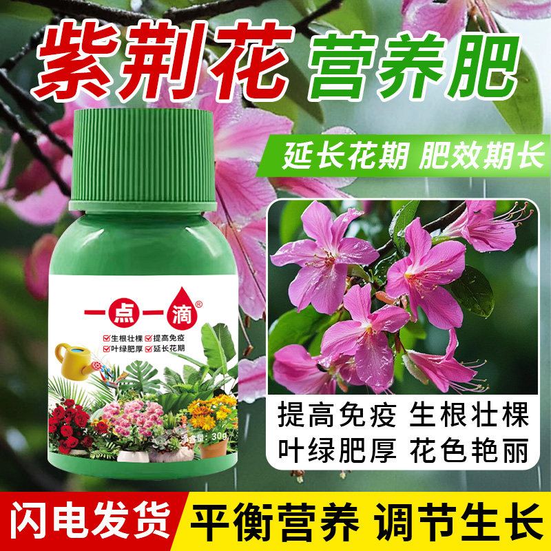 紫荆花营养肥花多色亮延花期防黄叶枯萎盆栽绿植室内外通用花肥