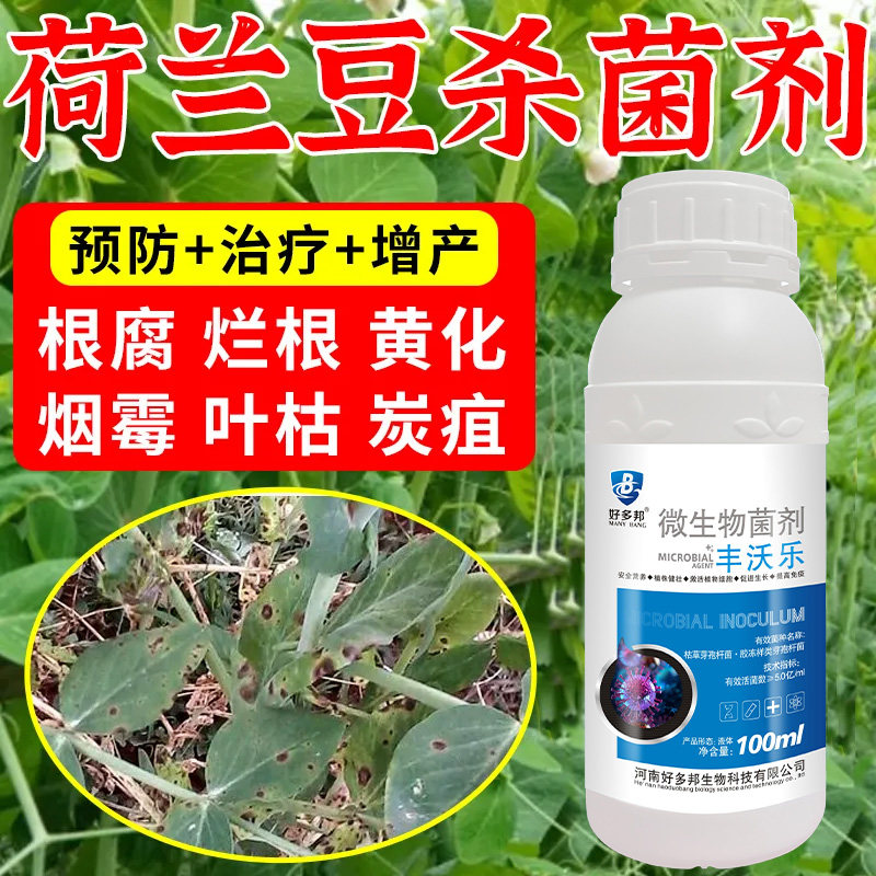 荷兰豆病药荷兰豆叶片发黄枯萎根部腐烂根腐病褐斑病专用杀菌剂