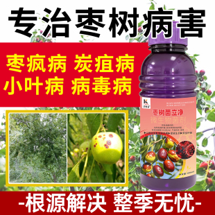 枣树专用杀菌剂枣树霜霉炭疽猝倒白粉褐斑叶枯缩果根腐菌核黑斑病