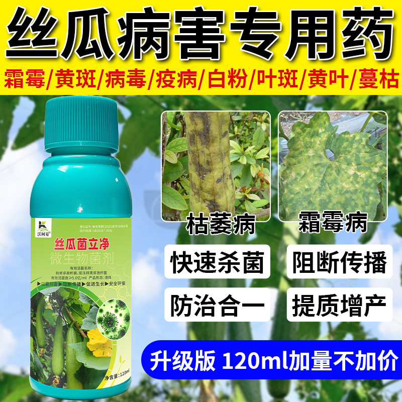 沃柯易丝瓜菌立净枯萎霜霉锈病白粉黄斑炭疽卷叶软腐菌核专用药