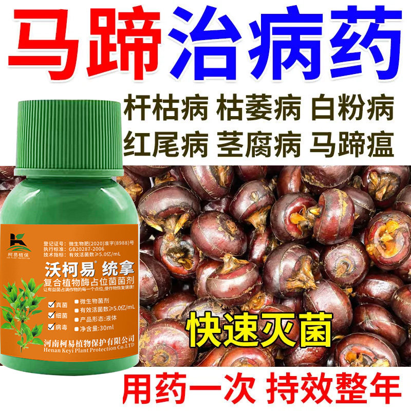 马蹄套餐专用药红尾病白粉病干枯病马蹄病全管马蹄专用杀菌剂正品