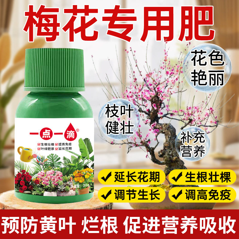 腊梅营养液通用型腊梅专用营养液花肥配方种植增产微量元素园艺