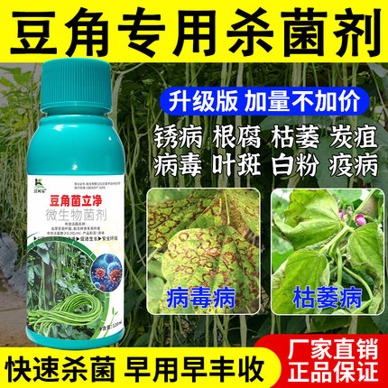 沃柯易豆角菌立净豆角锈病炭疽病青枯病叶斑病根腐病白粉病病毒病