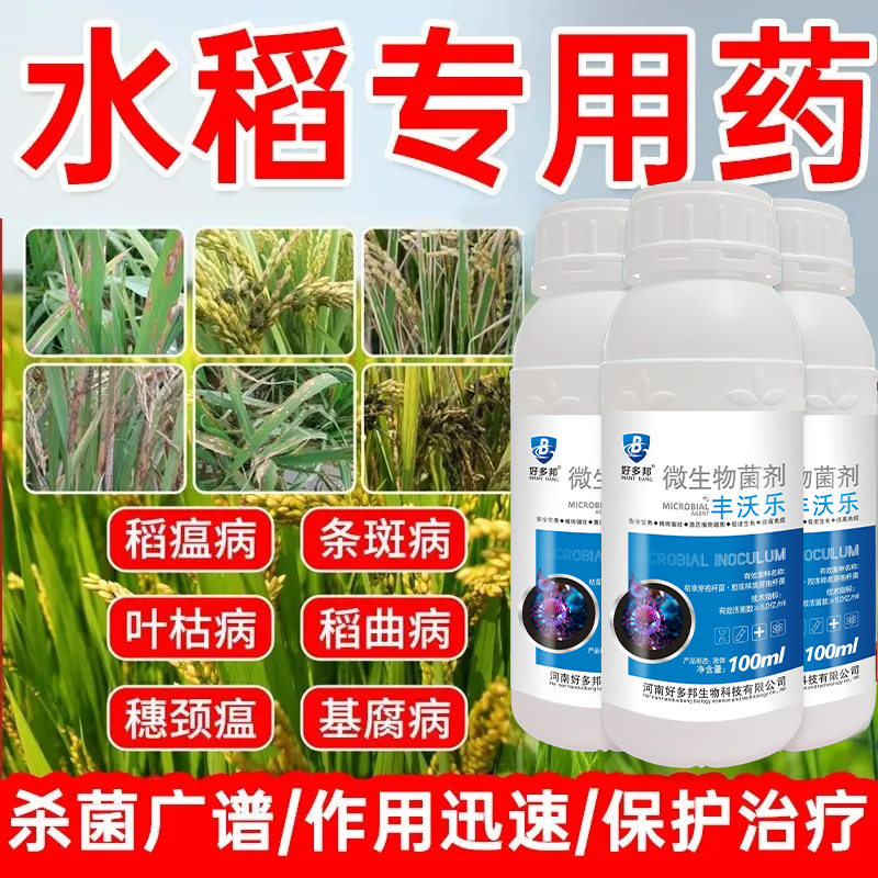水稻病全治水稻杀菌剂稻瘟病纹枯病叶枯病稻曲病褐条病农药杀菌剂
