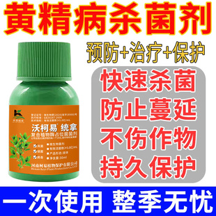 黄精黄叶根腐专用药黄精病全治黑斑病叶斑病炭疽病灰霉病杀菌剂