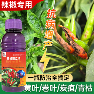 辣椒病专用辣椒青枯病卷叶病毒病炭疽病软腐病菌核疫病灰霉病专用