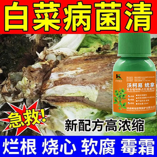 白菜杀菌剂软腐灵白菜腐烂黄叶软腐根腐病全清防烂防腐包心剂肥料