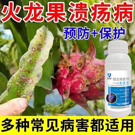 火龙果溃疡病专治软腐病炭疽病疮痂病枯萎病烟煤火龙果专用杀菌剂