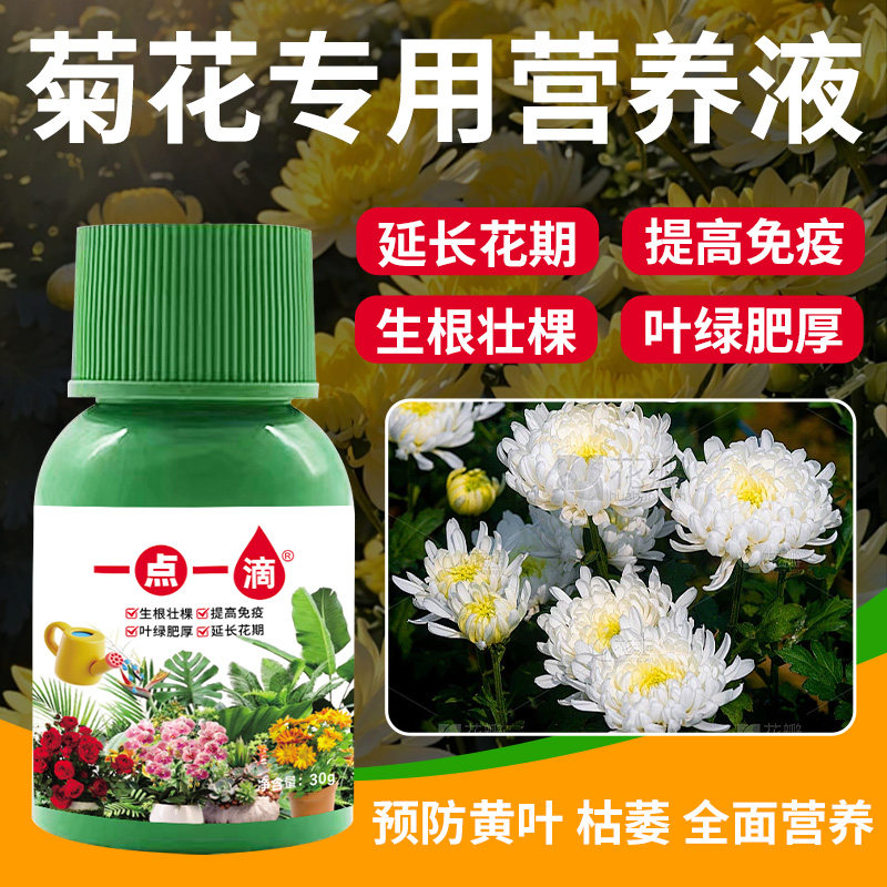 菊花专用营养液室内花卉绿植通用型花肥预防黄叶促生长专用肥料