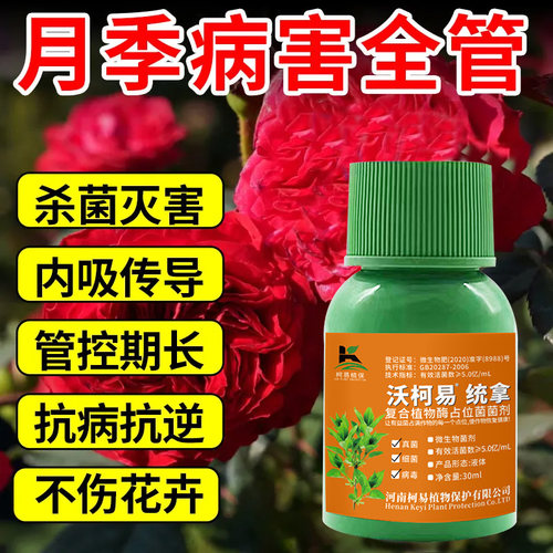 月季花专用药日灼病黄叶黑斑白粉叶斑病落叶月季玫瑰花卉用杀菌剂