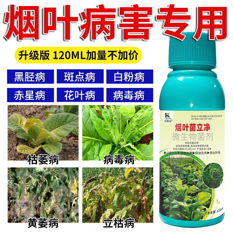 烟叶病害清烤烟病黑胫病野火病赤星病叶斑病花叶病病毒病专用杀菌